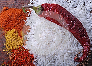 Rice,chilly and indian spices