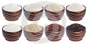 Rice collection isolated on white background