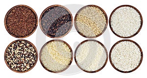 Rice collection isolated on white background. Top view