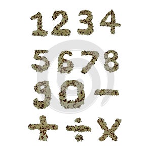 Rice color text number vector design photo
