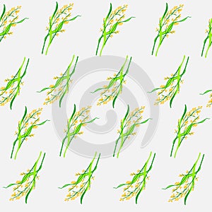 Rice colorful pattern wallpaper, branch on white