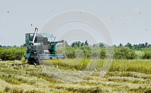 Rice combine harveste