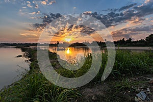 Rice cornfield at twilight sunset,