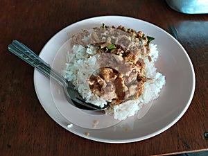 Rice and curry TRU thailand dilicious clean food good tast photo