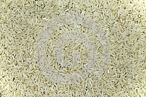 Rice, Detail