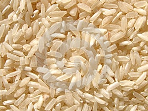 Rice detail background