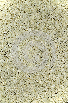 Rice, Detail, vertical