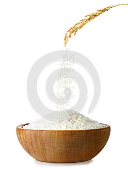 rice falling from ear in bowl isolated on white background