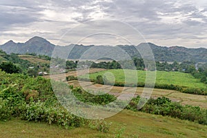 Rice farm at Capas , Philippines