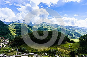 Rice fiel in the mountainous town photo