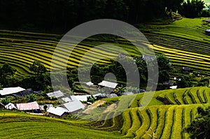 Rice field in the mountainous town photo