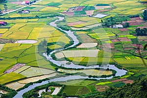 The rice field in BacSon - Vietnam