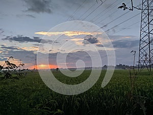 Rice Field and beautiful Sunset at Bali