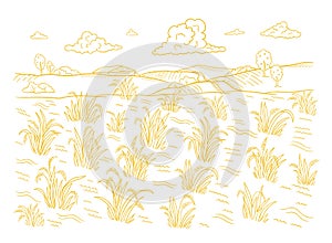 Rice field growth. Agriculture harvest. Cereal grain. Rural countryside landscape. Oryza sativa plant. Hand drawn sketch