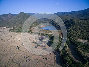 Rice field after harvests season by aerial view