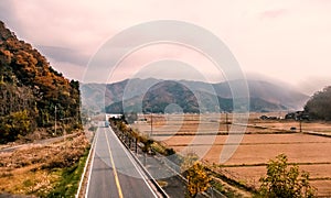 Rice field at Japanese countryside in autumn