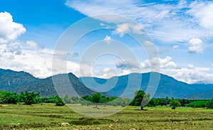 Rice field land in summer. Landscape of green field, mountain with blue sky and white clouds. Nature landscape in Thailand. Summer