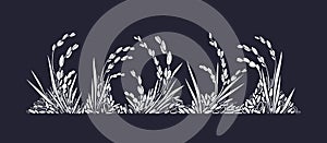 Rice field, mix grains Vector texture drawn plant