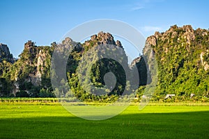 Rice Field and Mountain at Noen Maprang, Thailand