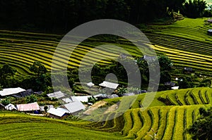 Rice field in the mountainous town