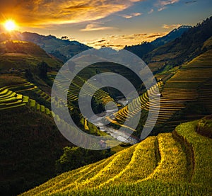 Rice field and rice terrace in Mu cang chai photo