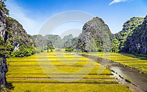 Rice field and river in TamCoc, NinhBinh, Vietnam