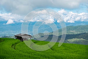 Rice field, Rural mountain view with beautiful landscape