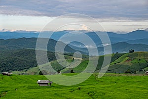 Rice field, Rural mountain view with beautiful landscape