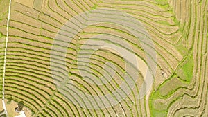 Rice Field Terrace Aerial Shot. Philippines.