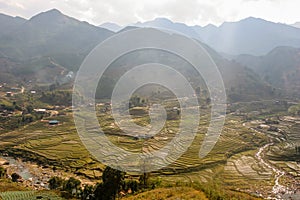 Rice field terraces