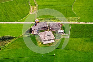 Rice field terraces