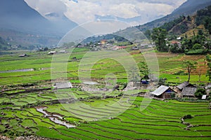 Rice field terraces