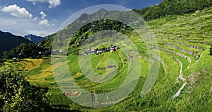 Rice field terraces in the area of batad