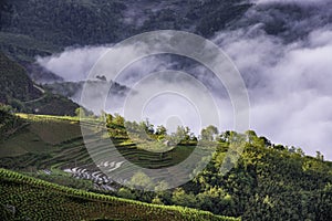 Rice field terraces in the clouds. Sapa, Lao Cai Province, north-west Vietna