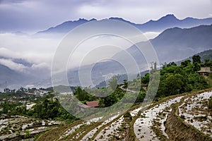 Rice field terraces in the clouds. Sapa, Lao Cai Province, north-west Vietnam