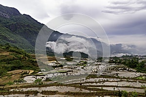 Rice field terraces in the clouds. Sapa, Lao Cai Province, north-west Vietnam