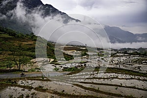 Rice field terraces in the clouds. Sapa, Lao Cai Province, north-west Vietnam