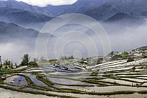 Rice field terraces in the clouds. Sapa, Lao Cai Province, north-west Vietnam