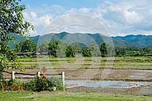 Rice field terraces in doi inthanon, Ban Mae Aeb Chiangmai photo