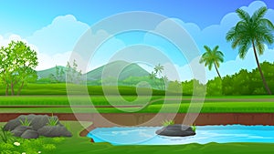 Rice field Terraces with fish pond, mountain and blue sky vector illustration