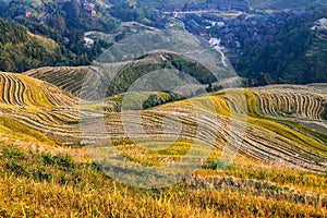 Rice field terraces, Longsheng, Hunan, China