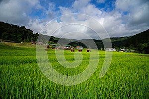 Rice field terraces at Mae Klang Luang, Homestay Chiangmai, Thailand.