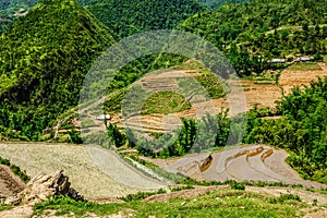 Rice field terraces. Near Sapa, Vietnam