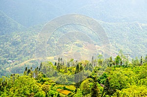 Rice field terraces at the northern Vietnam