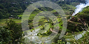 Rice field terraces in philippines