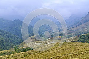 Rice field terraces in Sa Pa