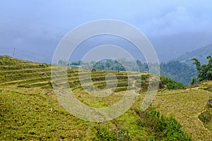 Rice field terraces in Sa Pa