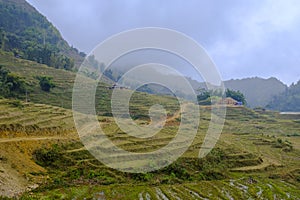 Rice field terraces in Sa Pa