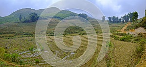 Rice field terraces in Sa Pa