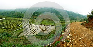 Rice field terraces, Sa Pa Valley, Vietnam photo